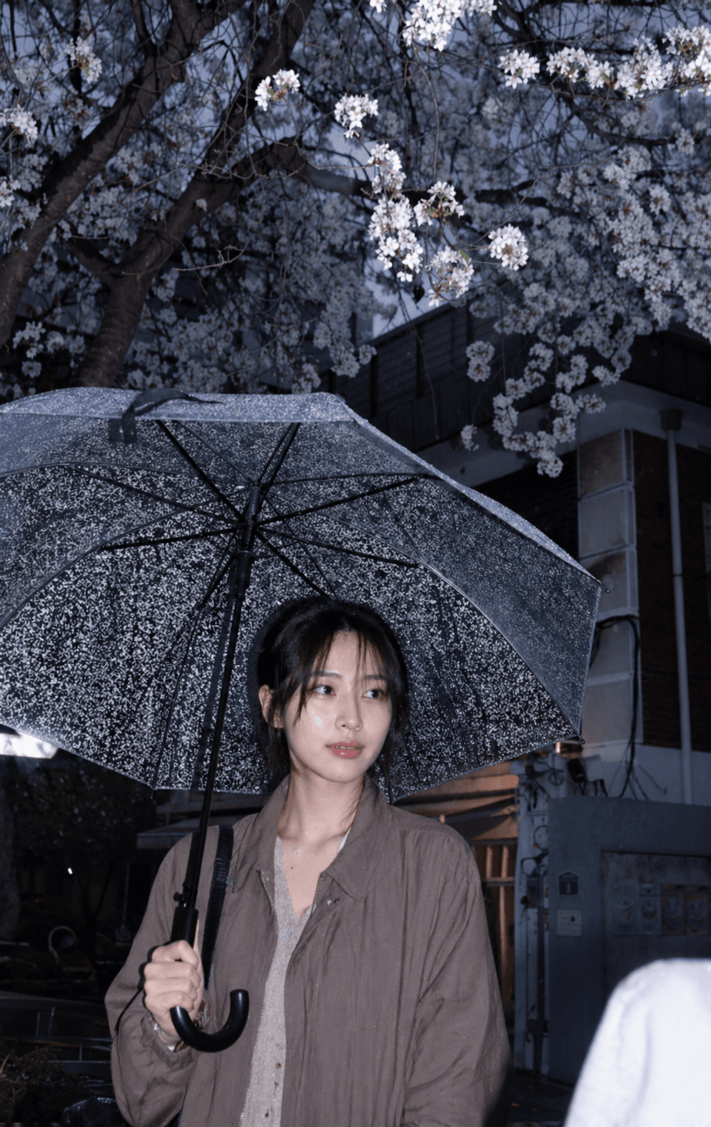 우산과 꽃나무가 있는 비 오는 날 스냅